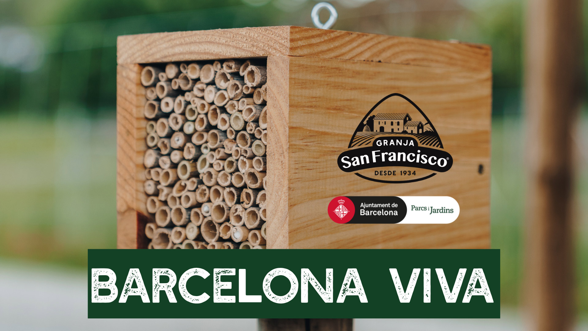 Registra't a Barcelona Viva