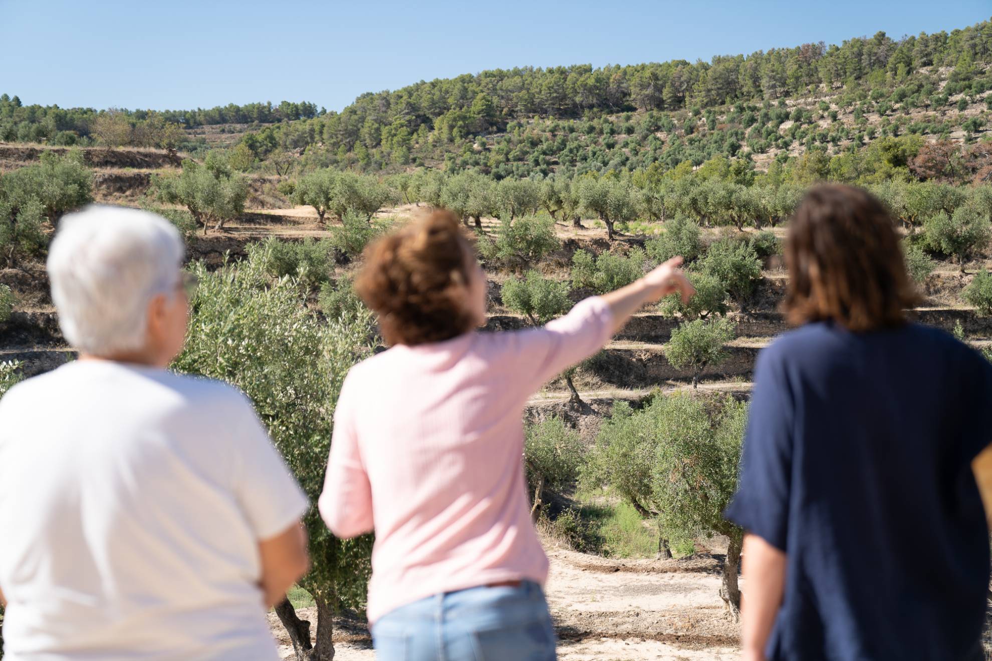 Agricultura Regenerativa Vallbona de les Monges